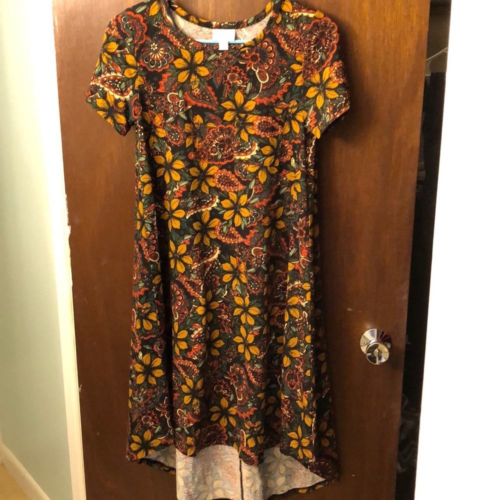 Like new Lularoe Carly